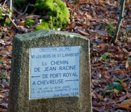 DSC_2667_DxO